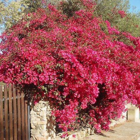 Casa A 300Mt.Dal Mare Calasinzias, 6 Letti, Ac, Pets Welcome, Wi-Fi Free Cala Sinzias Bagian luar foto
